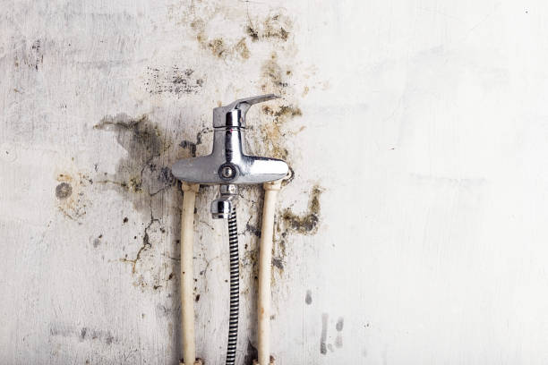 Reliable Lake Linden, MI Mold Removal Solutions