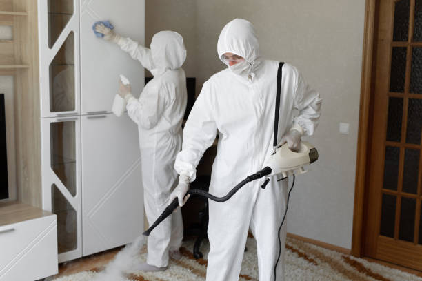 Best Mold Remediation  in Lake Linden, MI