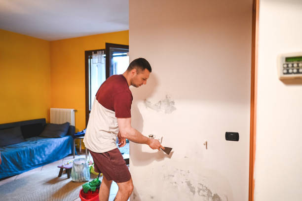 Best Commercial Mold Removal  in Lake Linden, MI