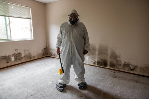 Best Home Mold Removal  in Lake Linden, MI